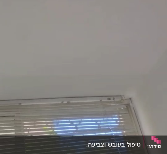תריסים סגורים על חלון עם אור שמש מבחוץ